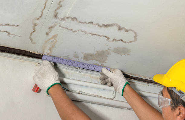 Reliable Water Damage contractor in Granville, WV by Water Damage Irwin